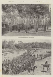 Der Transvaal-Krieg, Szenen in Natal